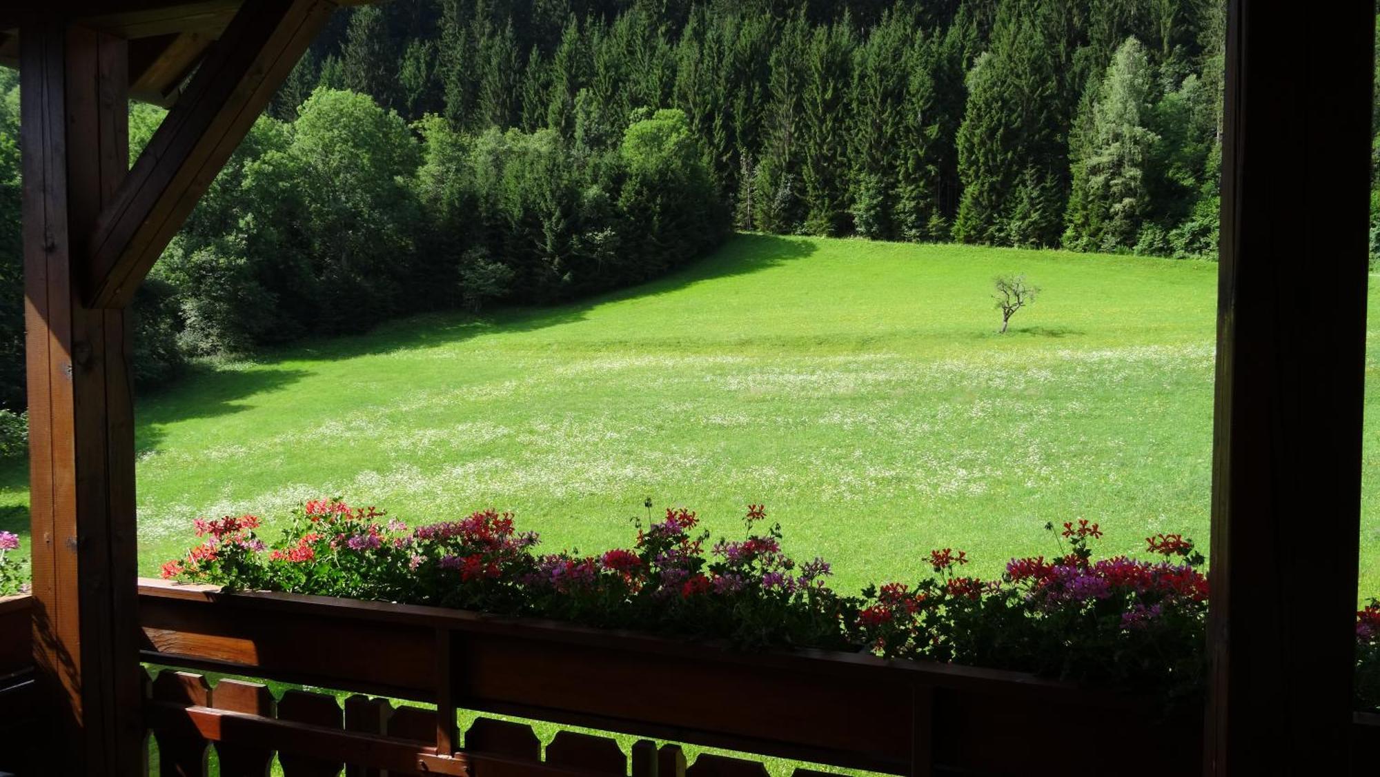 Ferienhaus Enzi Weissbriach Exteriér fotografie